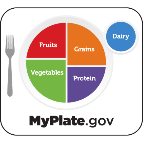My plate.gov image