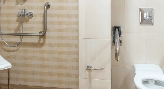 bathroom with handles 